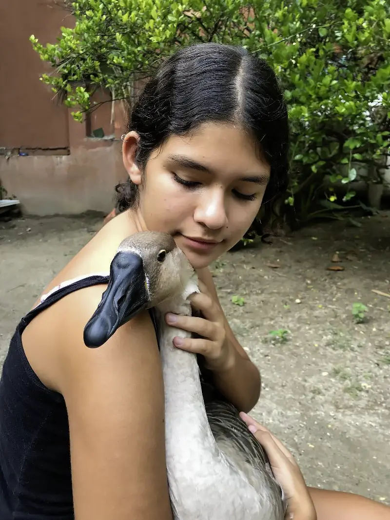 China with a goose